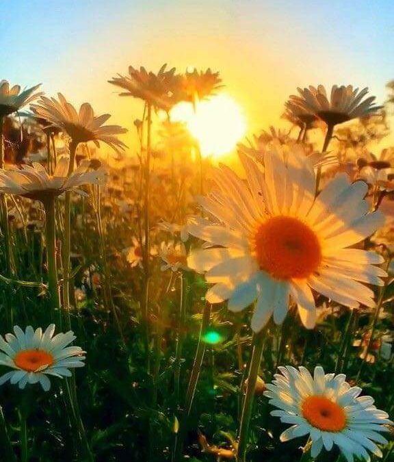 Let It Shine