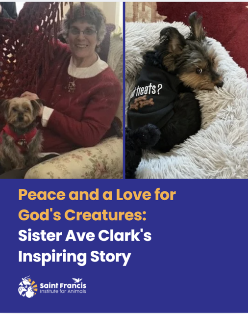 Peace and a Love for God’s Creatures: Sister Ave Clark’s Inspiring Story by Kristin Dunn